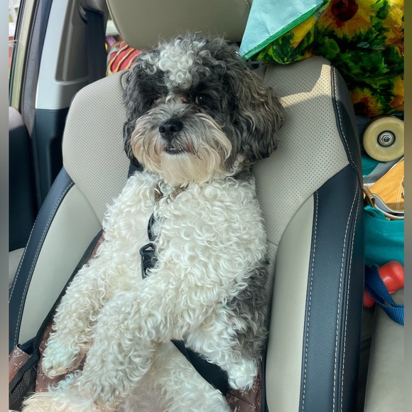 Meet your Posher, Doreen - Picture 7 of 12